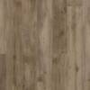 Nares Oak
VV012-00756